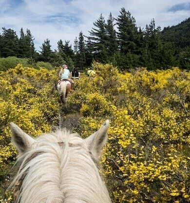 Arjantin Gezilecek Yerler: Güney Amerika'nın Görkemli İncisi