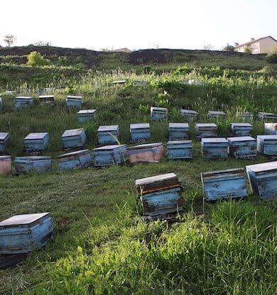 Hakkari'de Keşfe Yolculuk: Türkiye'nin Doğusunda Bir Hazine Arayışı - Hakkari gezilecek yerler