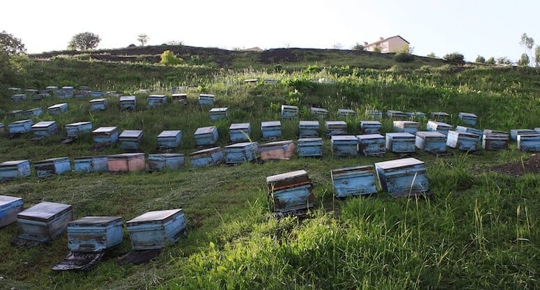 Hakkari'de Keşfe Yolculuk: Türkiye'nin Doğusunda Bir Hazine Arayışı - Hakkari gezilecek yerler