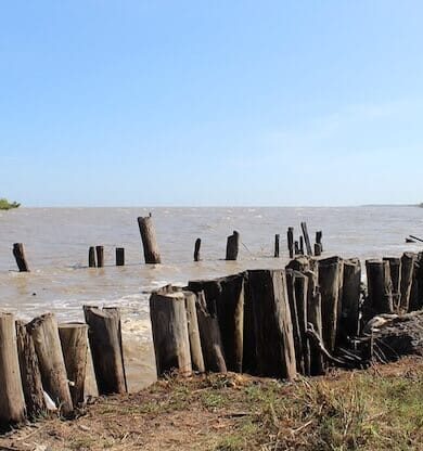 Surinam Gizemli Cennet