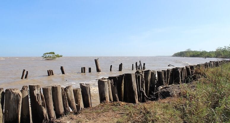 Surinam Gizemli Cennet