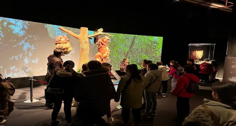 Gerçek Hayvanların Gizemli Dünyasına Yolculuk