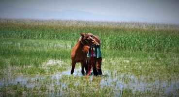 Ardahan: Doğanın Kucağında Büyüleyici Bir Keşif