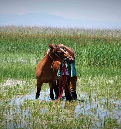 Ardahan: Doğanın Kucağında Büyüleyici Bir Keşif
