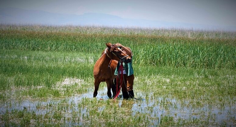 Ardahan: Doğanın Kucağında Büyüleyici Bir Keşif