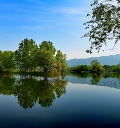 Sakarya'da Kariyer Fırsatları: Güncel İş İlanları ve Sektörel Analiz