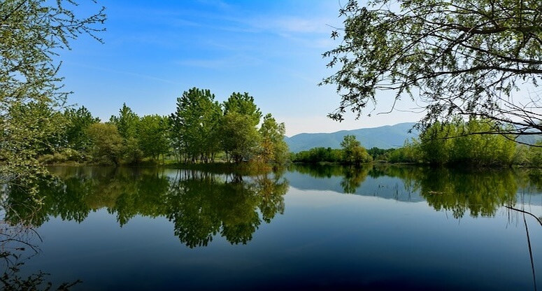 Sakarya'da Kariyer Fırsatları: Güncel İş İlanları ve Sektörel Analiz