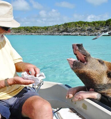 Bahamalar Gezilecek Yerler