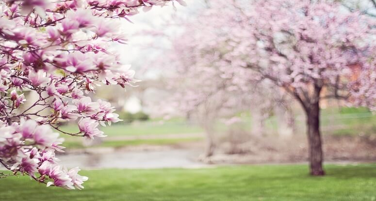 Bahar Tatili İçin Öneriler