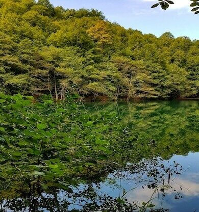 Baharın Bungalov Rotaları