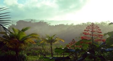 Fransız Guyanası Gezilecek Yerler
