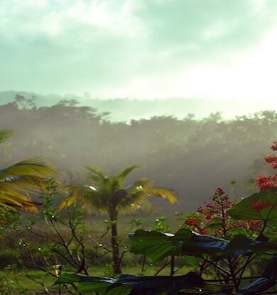 Fransız Guyanası Gezilecek Yerler