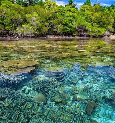Marshall Adaları Gezilecek Yerler