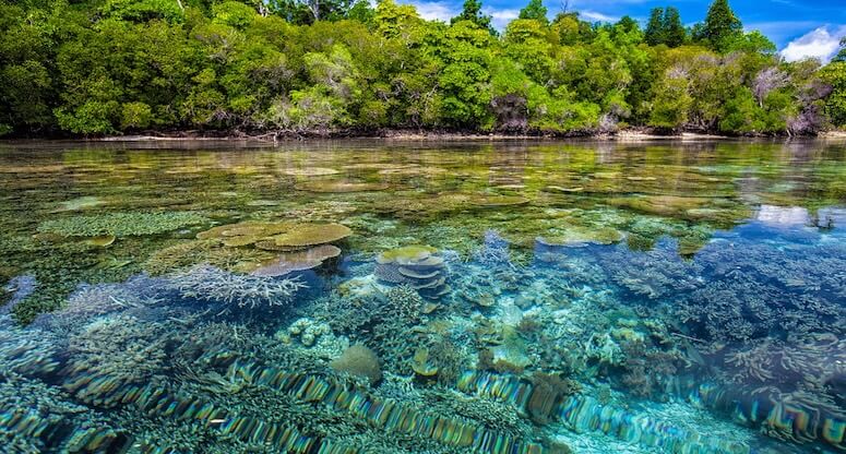 Marshall Adaları Gezilecek Yerler