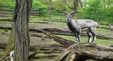 Nauru Gezilecek Yerler