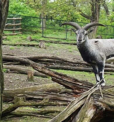 Nauru Gezilecek Yerler