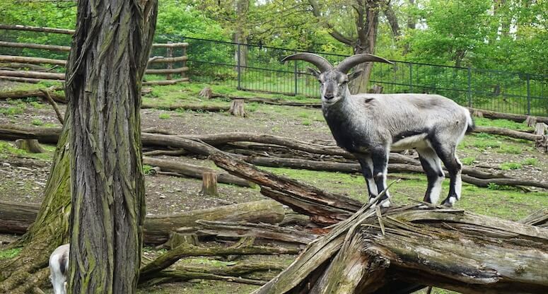 Nauru Gezilecek Yerler