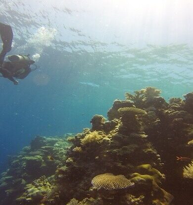 Palau Gezilecek Yerler