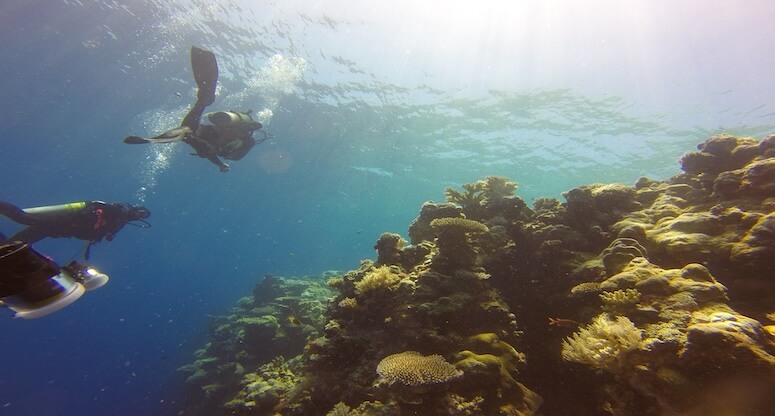 Palau Gezilecek Yerler