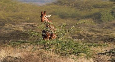 Somali Gezilecek Yerler