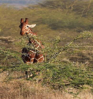 Somali Gezilecek Yerler