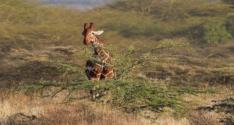 Somali Gezilecek Yerler