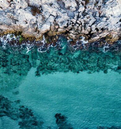 Sürdürülebilirlik: Doğa Dostu Faaliyetler