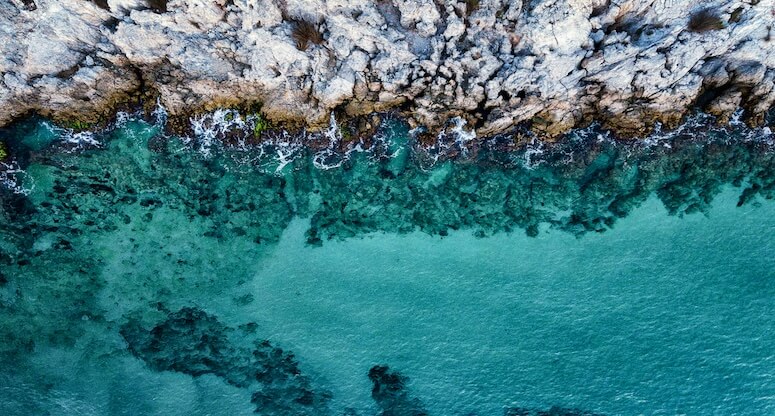 Sürdürülebilirlik: Doğa Dostu Faaliyetler