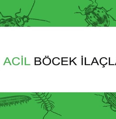 Böcek İlaçlama