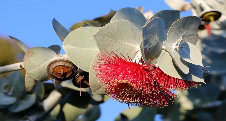 Kurban Bayramı Tatil Trendleri