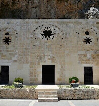 Portakal Ağaçları: Türkiye Turizmi İçin Yeni Bir Fırsat