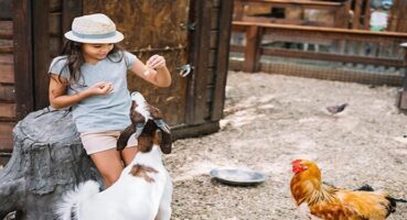 Ballıca Gayrimenkul