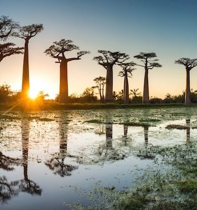Emirates, Seyşeller Üzerinden Madagaskar Uçuşlarına Başlıyor