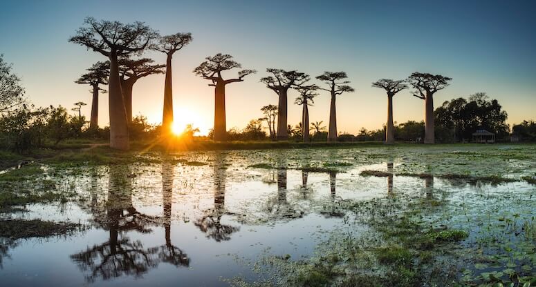 Emirates, Seyşeller Üzerinden Madagaskar Uçuşlarına Başlıyor