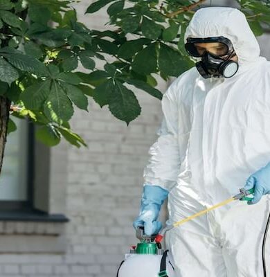 Ev İlaçlama ve Böcek İlaçlama