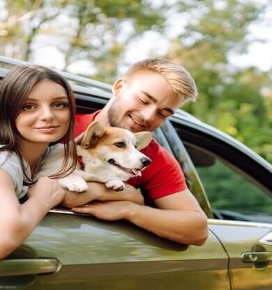 Evcil Hayvanlarla Yolculuk Rehberi