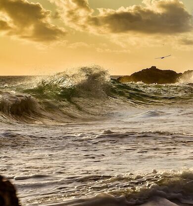Karayip Ülkelerinde Yatırım Fırsatları