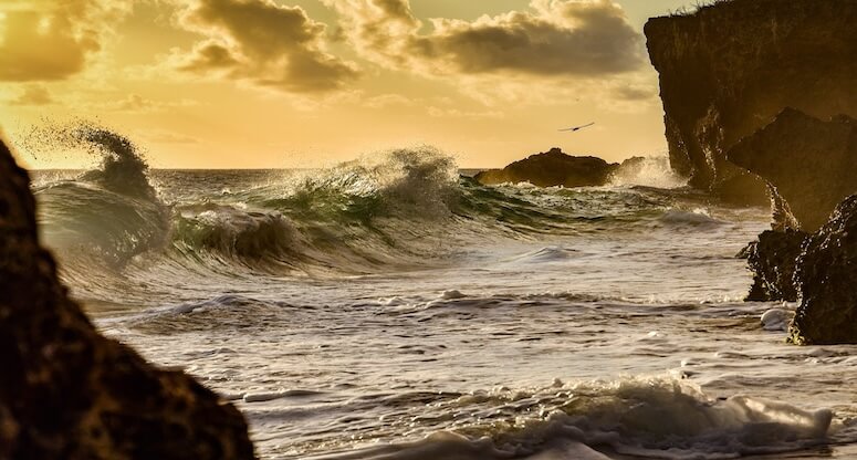 Karayip Ülkelerinde Yatırım Fırsatları
