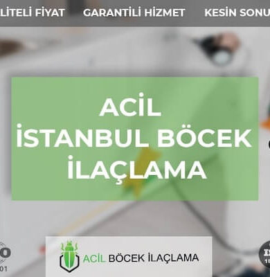 İstanbul Böcek İlaçlama: Evdeki Haşerelerden Kurtulmanın Uzman Yöntemi