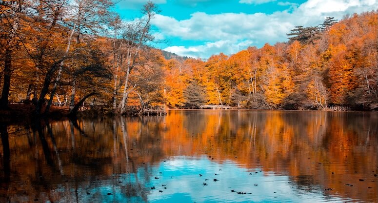 İstanbul’a Yakın Keşfedilmemiş Sonbahar Rotaları