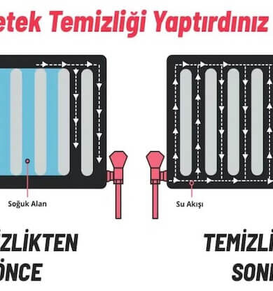 Petek Temizleme İşlemi Nasıl Yapılır 8 Madde Çözümü