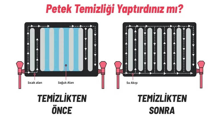 Petek Temizleme İşlemi Nasıl Yapılır 8 Madde Çözümü