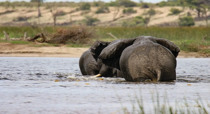 Botswana Gezilecek Yerler