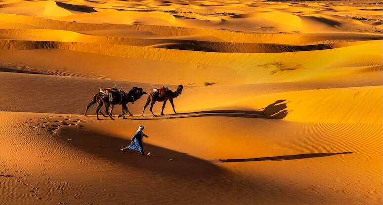 Seyahat Tutkunları Ödüllerle Buluştu