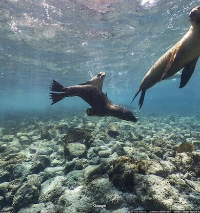 En Çok Keşfedilen Mekanlar