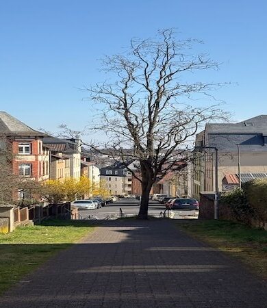 Giessen’de Gezilecek Yerler