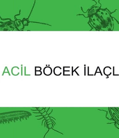 Profesyonel Böcek İlaçlama Hizmeti