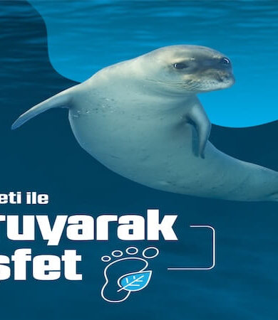 Tatilde Doğayı Koruyarak Keşfedin