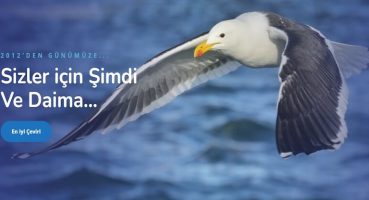 Türkçe Çince Çeviri ve Azerbaycan Türkçe Çeviri – Okeanostercume.com.tr
