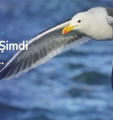 Türkçe Çince Çeviri ve Azerbaycan Türkçe Çeviri - Okeanostercume.com.tr